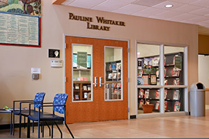 Whitaker-Library-Interior-300x
