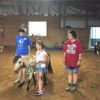 Harmonic Happenings in The Horse World Harmonic Horse